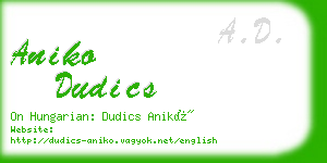 aniko dudics business card